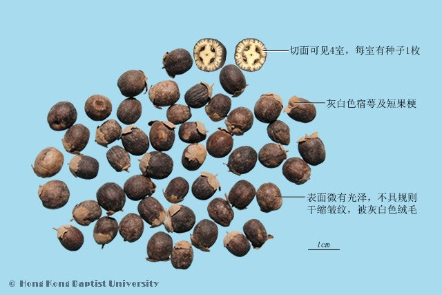 Man Jing Zi Vitex Fruit