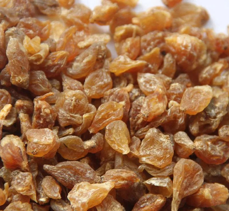 Xie Bai Chinese Chive
