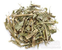 Huo Xiang Patchouli Herb