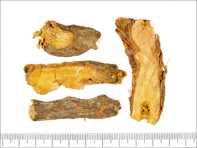 Hu Zhang Bushy Knotweed