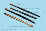 Wu Gong
