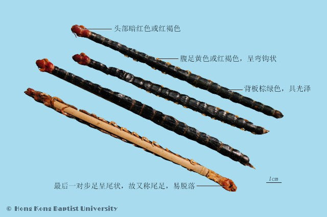 Wu Gong