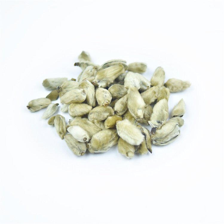 Xin Yi Hua Magnolia Flower