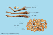 Fang Feng Siler Root