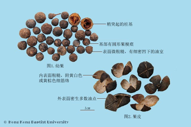 Qing Pi Immature Tangerine Peel