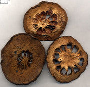 Xiang Yuan Fructus Citri Sarcodactylis