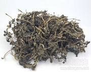 Ma Chi Xian Portulaca