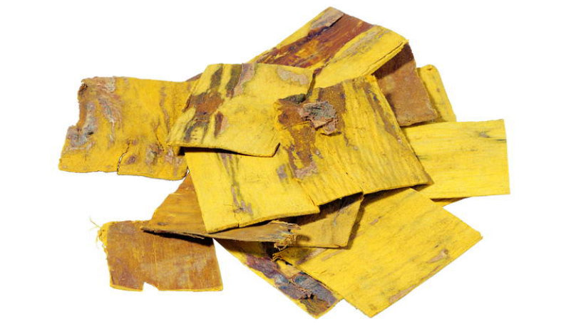 Huang Bai Phellodendron Bark
