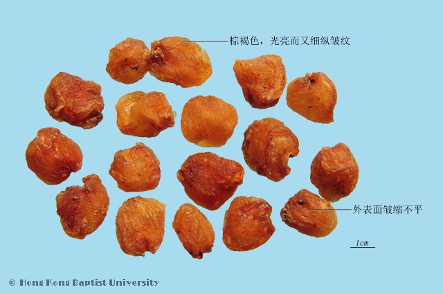 Long Yan Rou Longan Aril